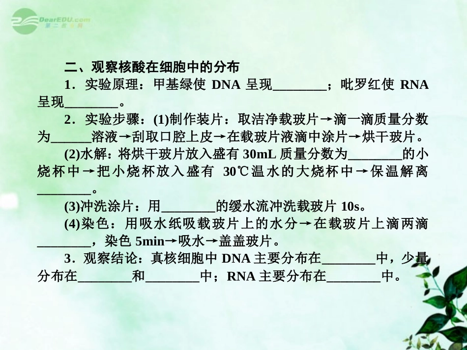 【三维方案】2013届高三生物一轮复习-1.2.3细胞中的糖类和脂质-遗传信息的携带者——核酸课件_第3页