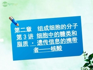 【三维方案】2013届高三生物一轮复习-1.2.3细胞中的糖类和脂质-遗传信息的携带者——核酸课件
