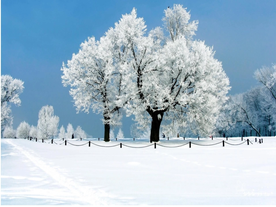 人教版小学语文一年级上册《雪地里的小画家》教学课件_第3页