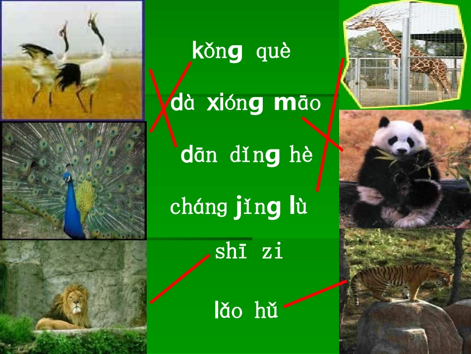 汉语拼音复习四-2_第3页