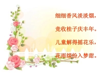 《桂花雨》课件