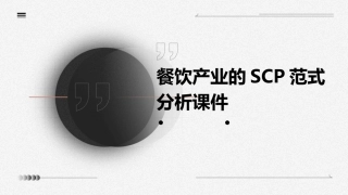 餐饮产业的SCP范式分析课件