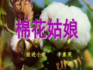 棉花姑娘课件