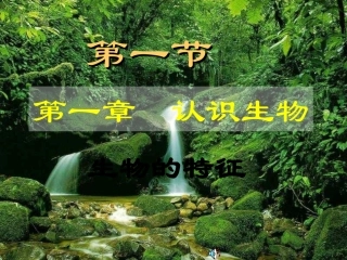 1-1-1生物的特征3