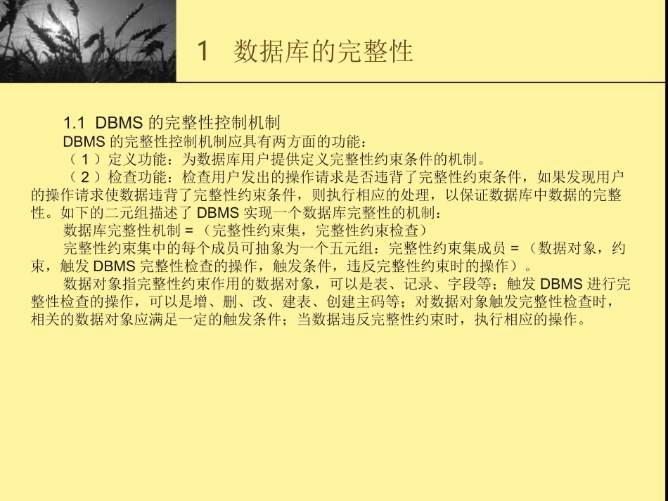 数据库的完整性_第2页