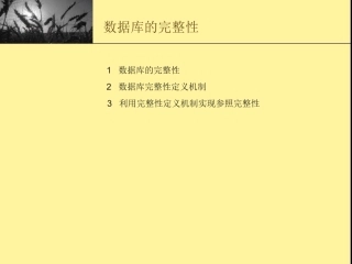 数据库的完整性