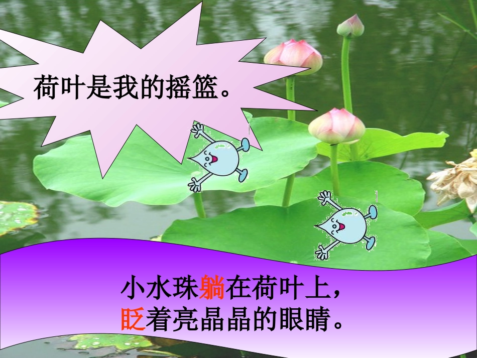 (部编)人教2011课标版一年级上册荷叶圆圆_第3页