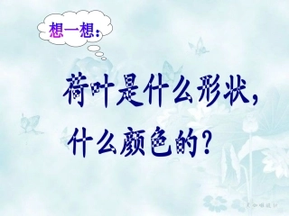 (部编)人教2011课标版一年级上册荷叶圆圆