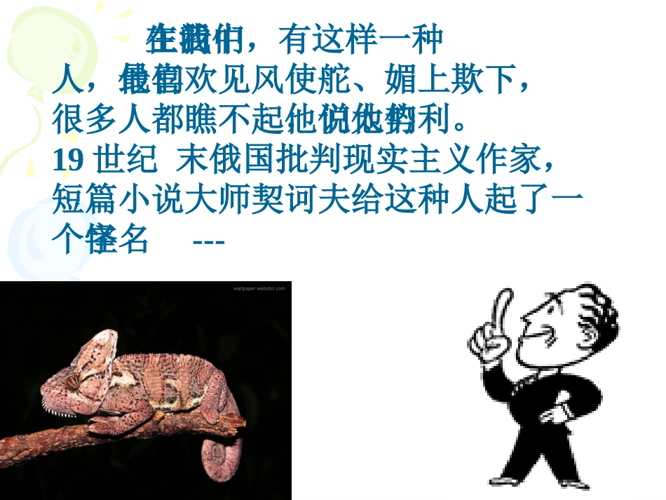 变色龙第一课时_第2页