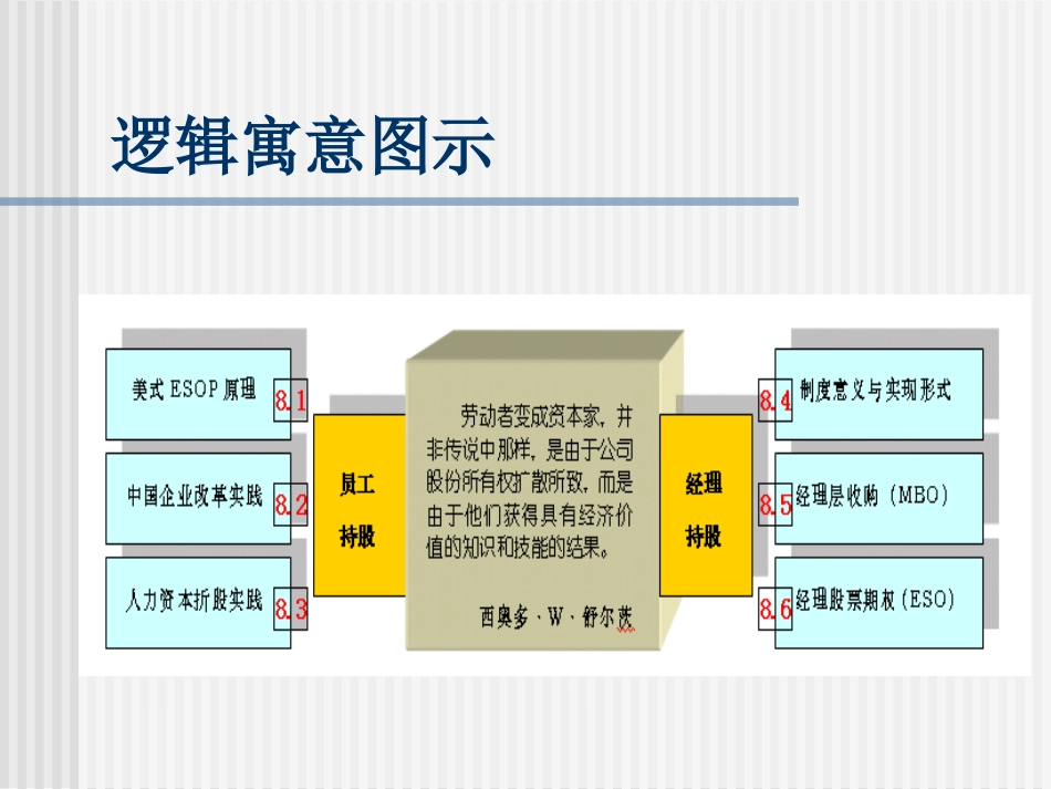 08股权激励实施途径和策略_第2页