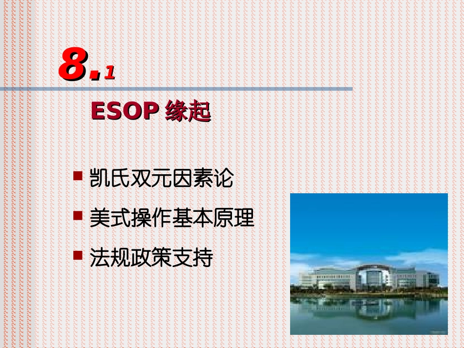 08股权激励实施途径和策略_第3页