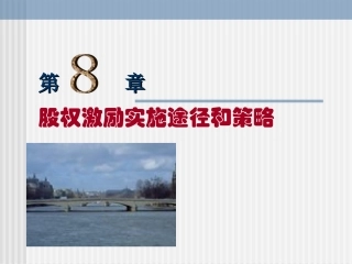 08股权激励实施途径和策略