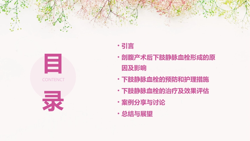 产科剖腹产术后下肢静脉血栓查房护理课件_第2页