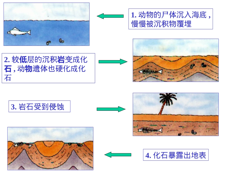 化石吟--课件_第3页