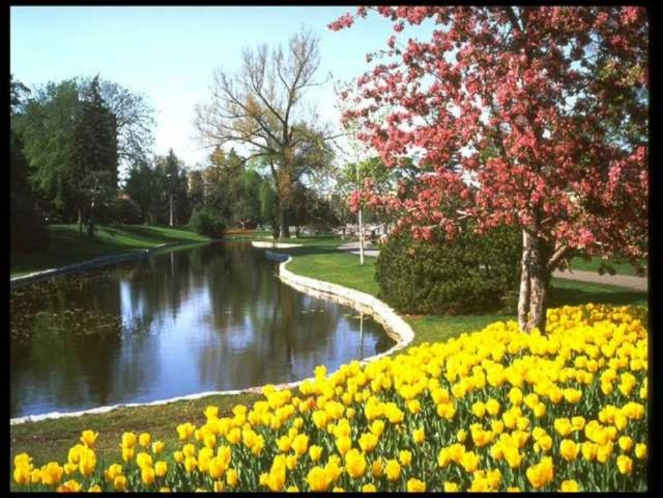 《古诗两首-春日》课件PPT_第1页