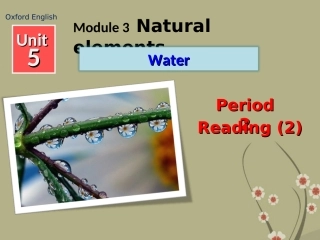 广东省深圳市文汇中学七年级英语下册《Unit-5-Water-Reading(2)》课件-牛津版