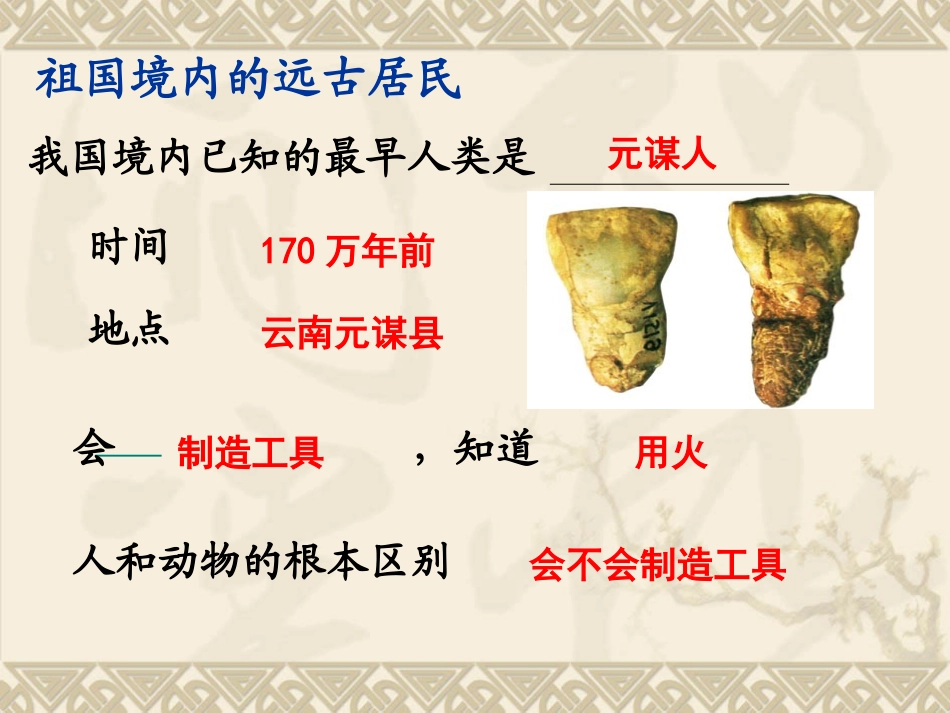 中华文明的起源(人教版)_第3页