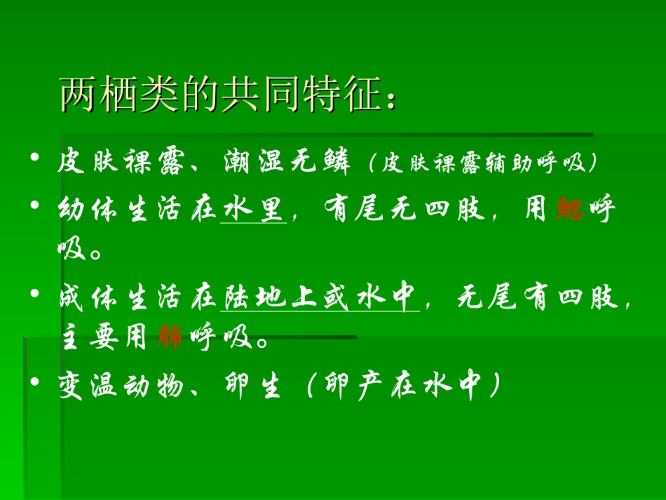 脊椎动物.PPT_第3页