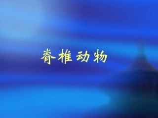脊椎动物.PPT