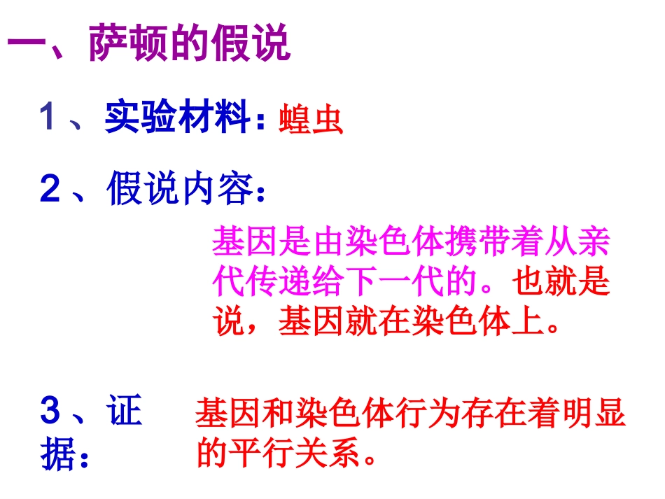 基因在染色体上_第2页