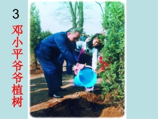一年级下册3邓小平爷爷植树