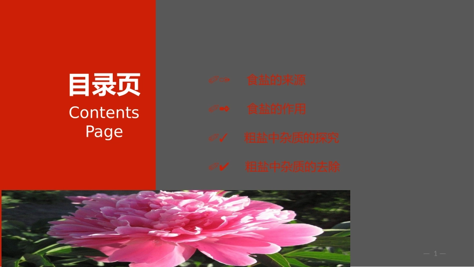 第三节常见的盐_第1页