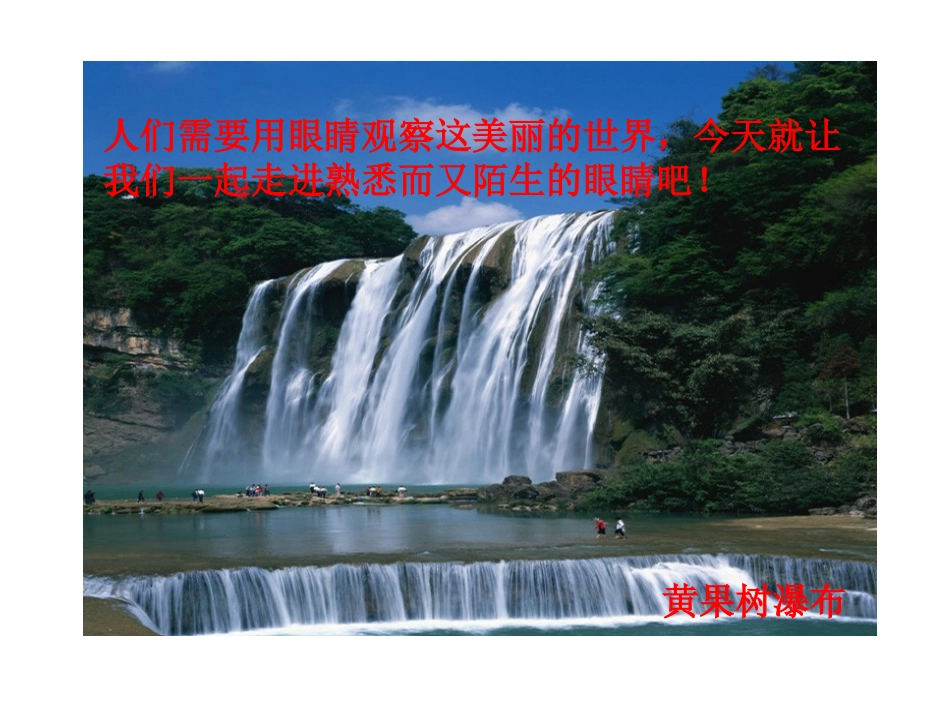 第四节：眼睛和眼镜_第2页
