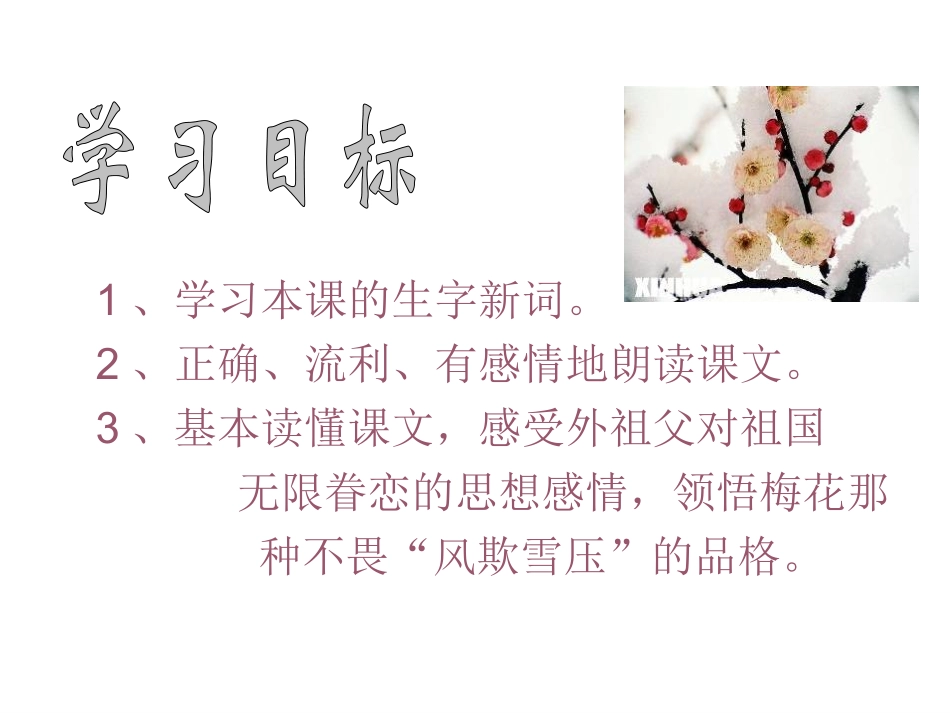 《梅花魂》ppt课件6._第3页