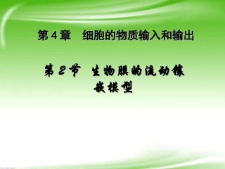 云南省西盟佤族自治县第一中学高考生物总复习-4.2《生物膜的流动镶嵌模型》课件-新人教版必修1