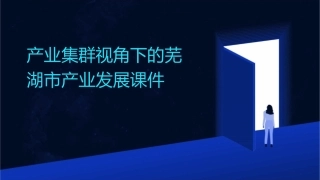 产业集群视角下的芜湖市产业发展课件1