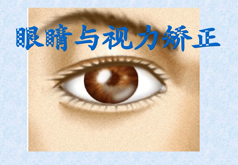 眼睛与视力矫正更新版_第1页