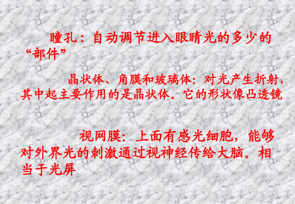 眼睛与视力矫正更新版_第3页