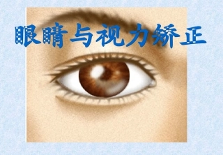 眼睛与视力矫正更新版