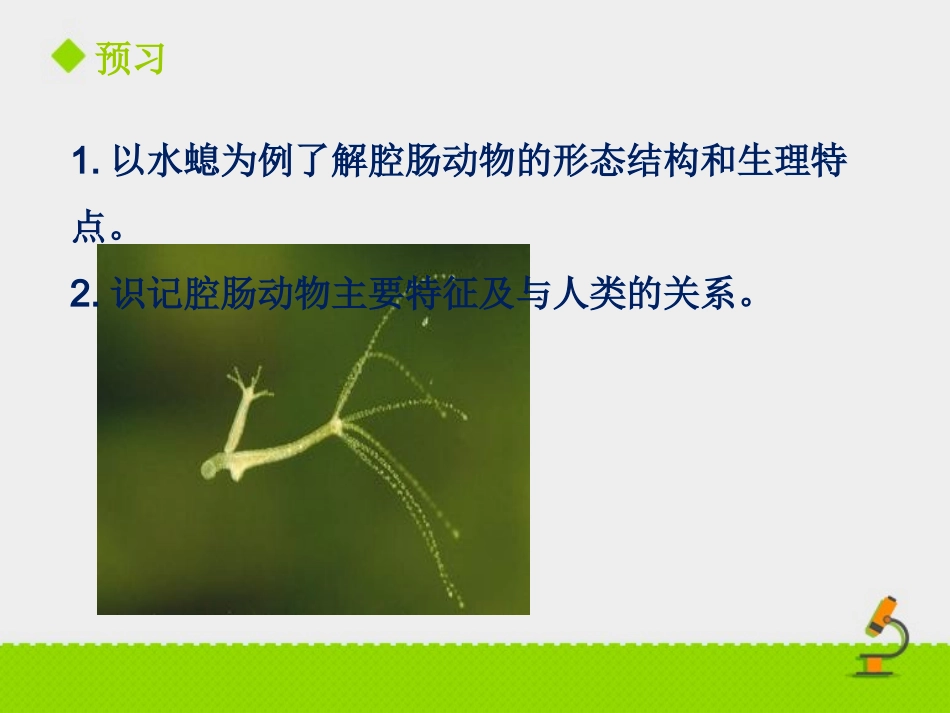 《第一节-腔肠动物和扁形动物2》-课件2_第1页