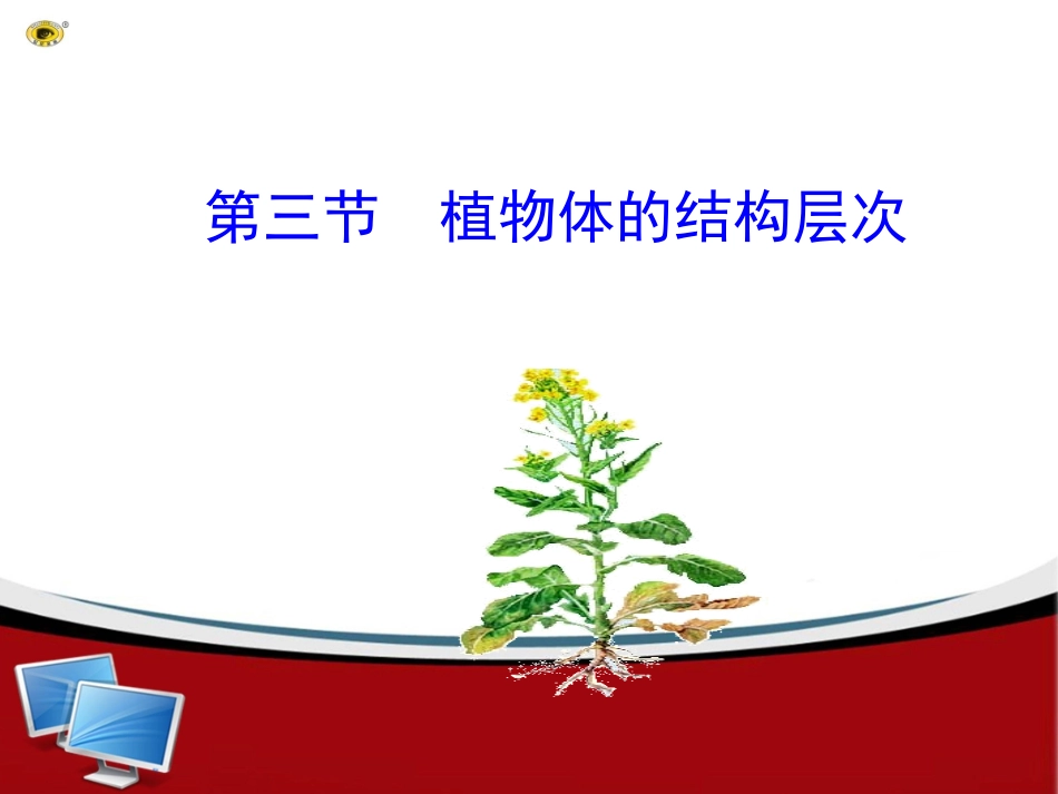 第三节植物体的结构层次._第1页