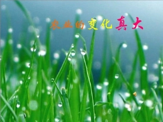 农业的变化真大