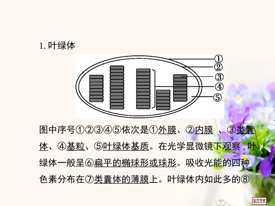 【金考案】2014高考生物第一轮复习用书-第三单元-第四课时能量之源-光与光合作用课件-新人教版_第2页