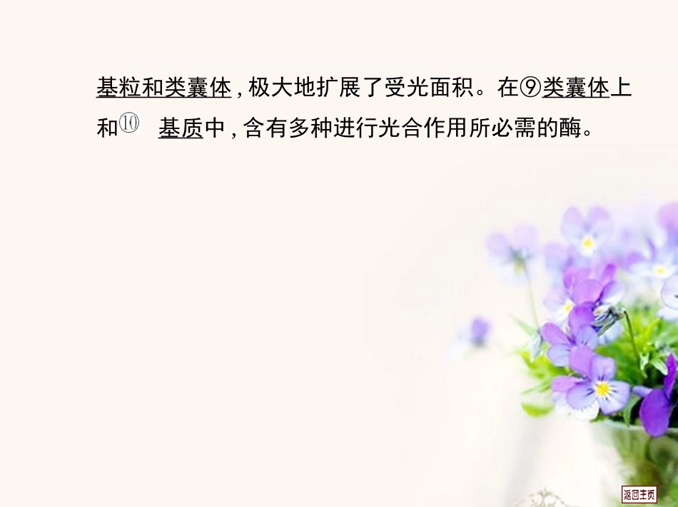 【金考案】2014高考生物第一轮复习用书-第三单元-第四课时能量之源-光与光合作用课件-新人教版_第3页