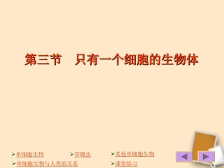 陕西省安康市汉滨高级中学七年级生物上册-《233-只有一个细胞的生物体-草履虫》课件-人教新课标版
