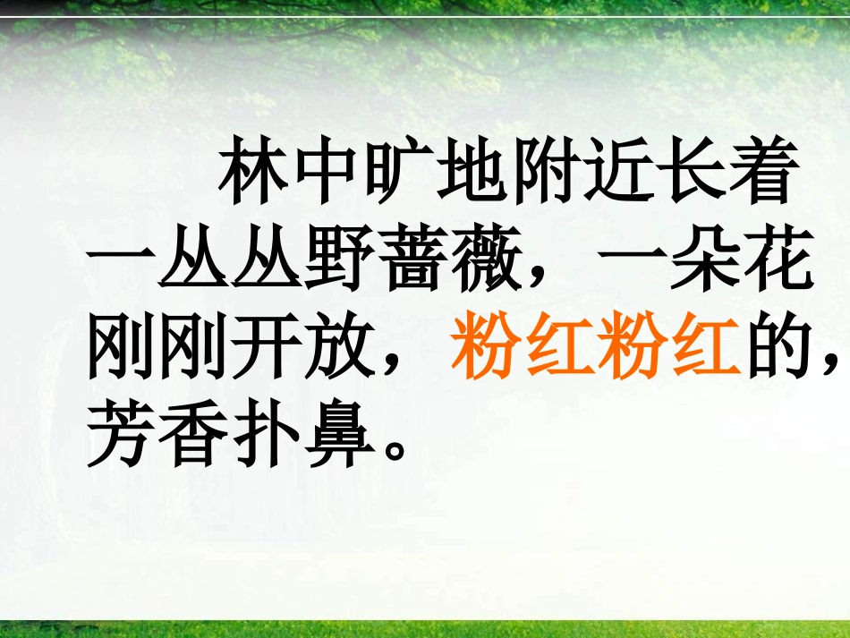 《我不是最弱小的》课件._第2页
