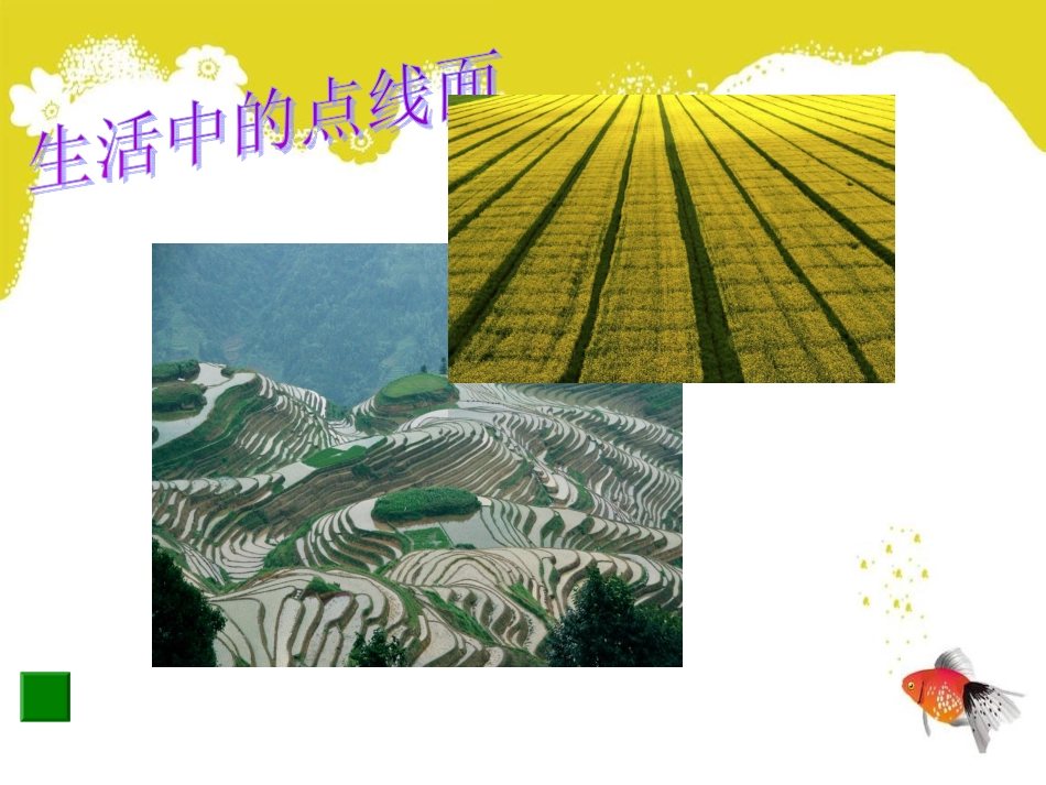 人教版小学美术二年级下册《点线面》课件_第2页