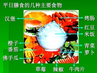 细胞中的糖类和脂质课件