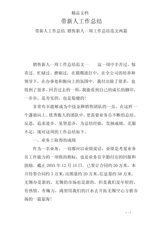 带新人工作总结