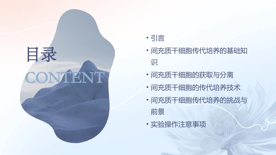 间充质干细胞的传代课件_第2页
