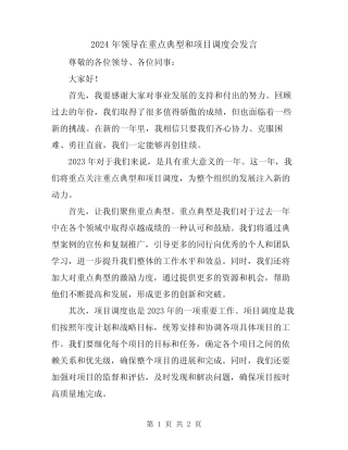 2024年领导在重点典型和项目调度会发言 