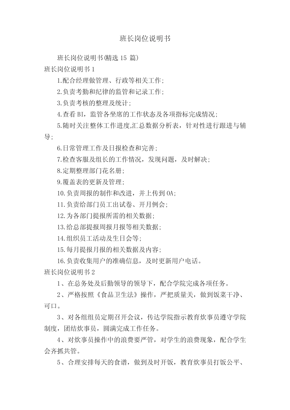 班长岗位说明书(精选15)_第1页