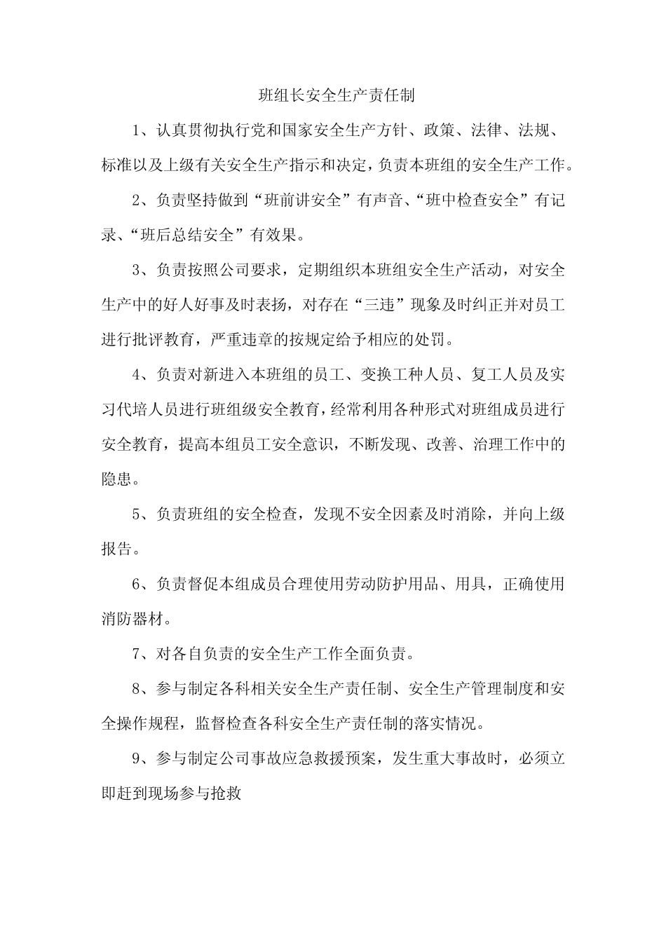 班组长安全生产责任制_第1页