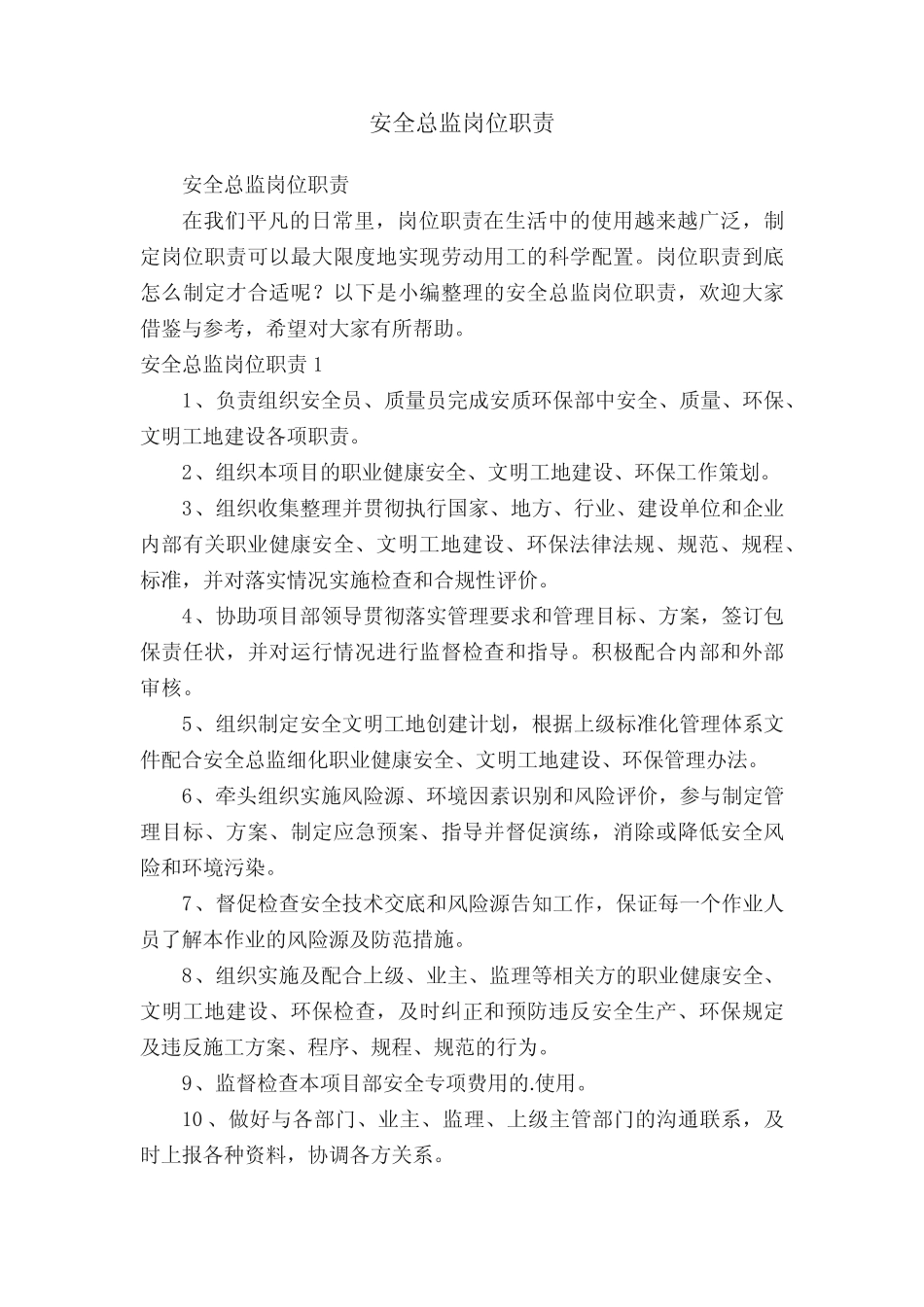 安全总监岗位职责 _第1页