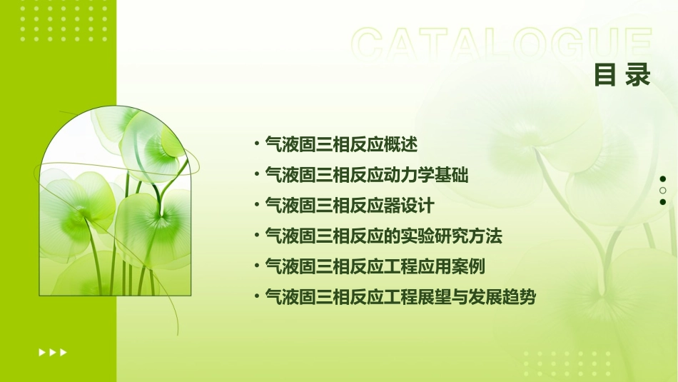 气液固三相反应工程课件_第2页