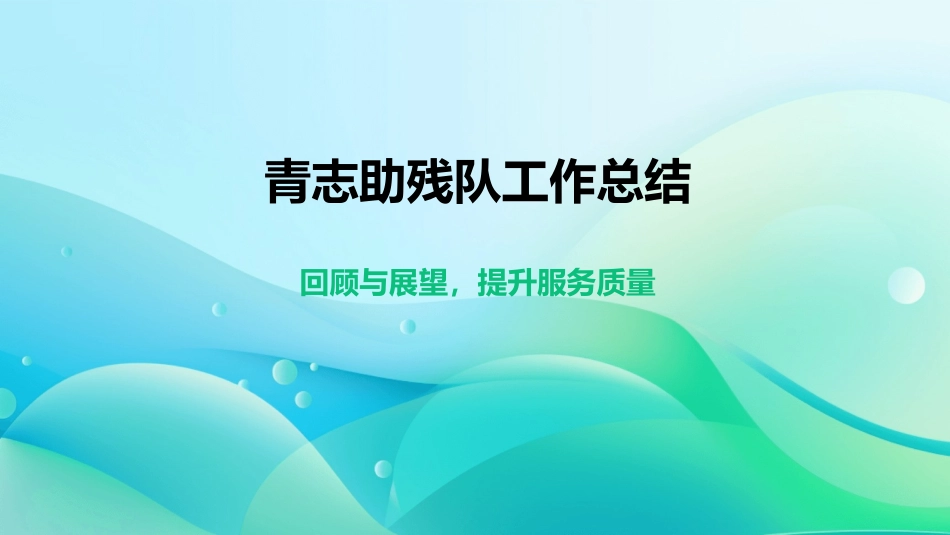 青志助残队工作总结_第1页